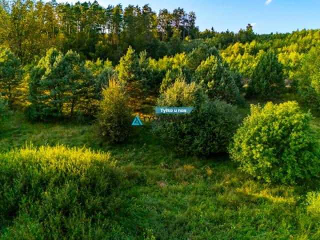 Grunt na sprzedaż w Sulęczyno, Pomorskie