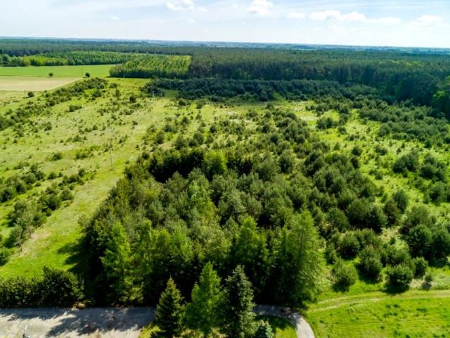 Grunt na sprzedaż w Dąbrówka Kościelna, powiat gnieźnieński