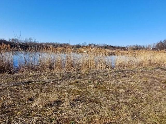 Grunt na sprzedaż w Żarów, Dolnośląskie