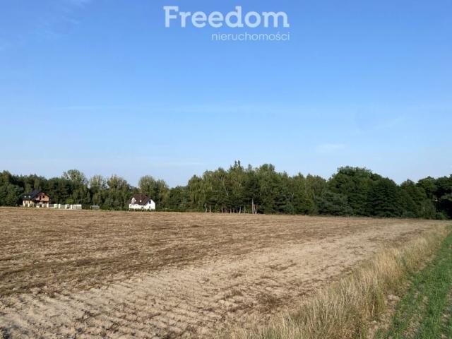 Grunt na sprzedaż w Ciechocin, Kujawsko-pomorskie