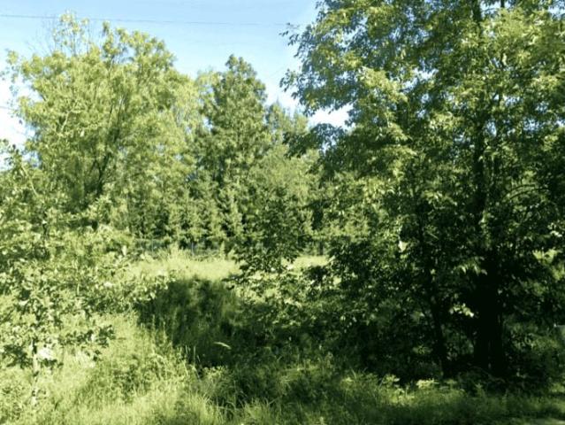 Grunt na sprzedaż w Ruda Śląska, Śląskie