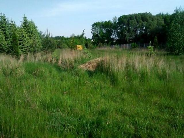 Grunt na sprzedaż w Kalisz, Wielkopolskie
