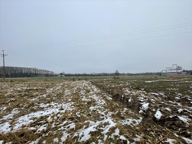 Grunt na sprzedaż w Puszcza Mariańska, Mazowieckie