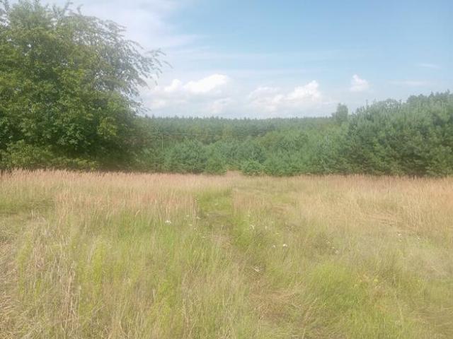 Grunt na sprzedaż w Szamocin, Wielkopolskie