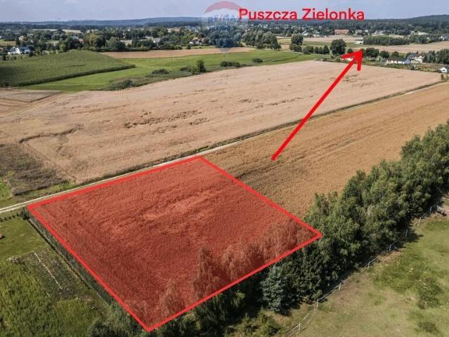 Grunt na sprzedaż w Kicin, Wielkopolskie
