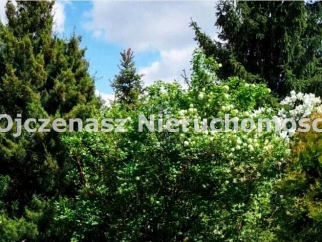Grunt na sprzedaż w Koronowo, powiat bydgoski