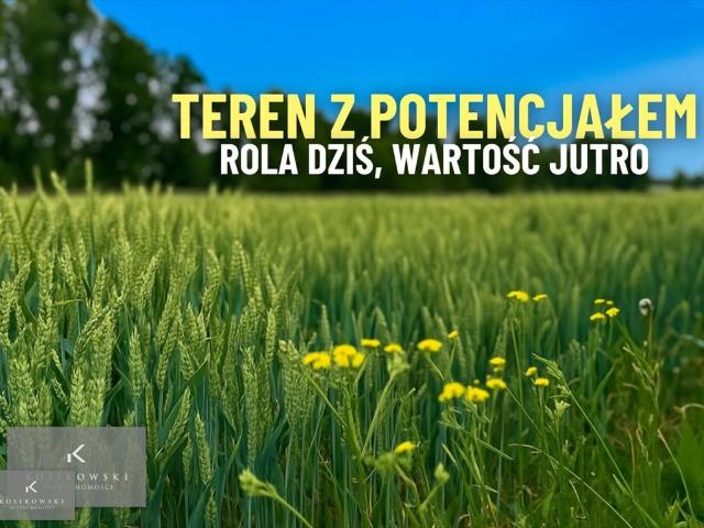 Grunt na sprzedaż w Namysłów, Opolskie
