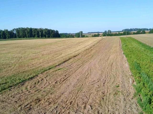 Grunt na sprzedaż w Golczewo, Zachodniopomorskie