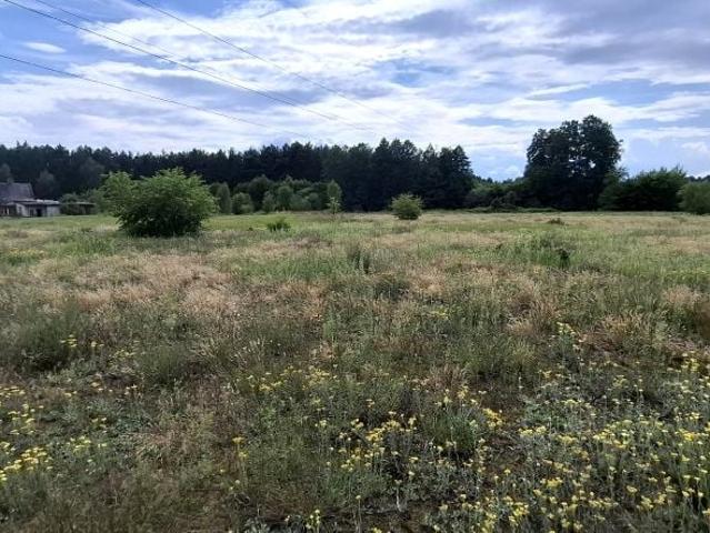 Grunt na sprzedaż w Solec Kujawski, Kujawsko-pomorskie