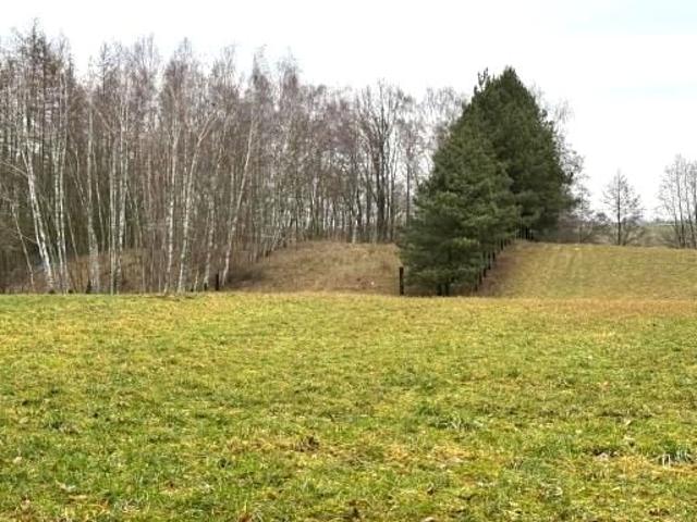 Grunt na sprzedaż w Wójtostwo, Wielkopolskie