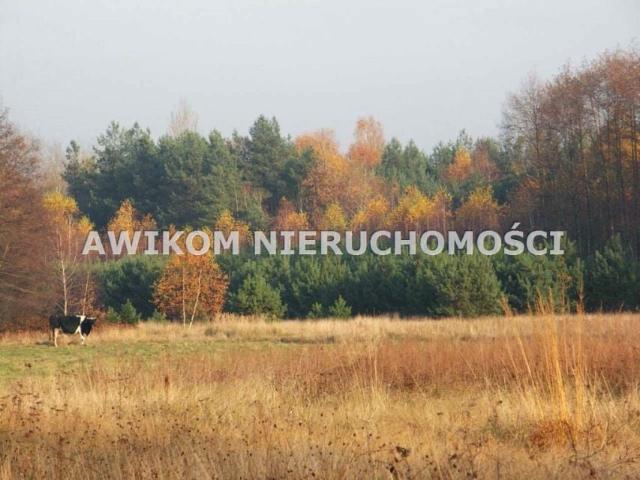 Grunt na sprzedaż w Skierniewice, Łódzkie