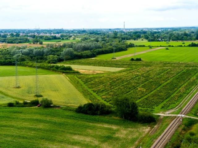 Grunt na sprzedaż w Tarnowiec, Małopolskie