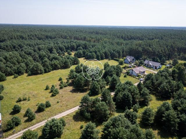 Grunt na sprzedaż w Drzewce, Kujawsko-pomorskie