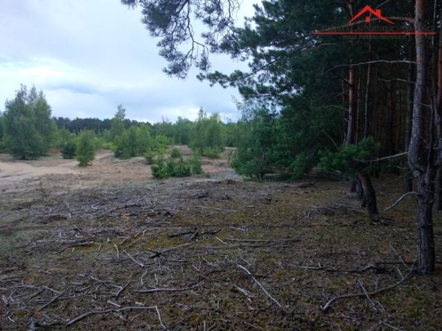 Grunt na sprzedaż w Gutowo, Kujawsko-pomorskie