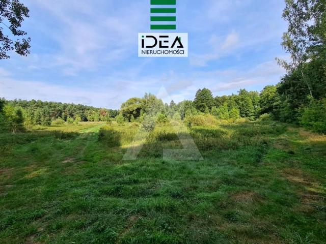 Grunt na sprzedaż w Olimpin, Kujawsko-pomorskie