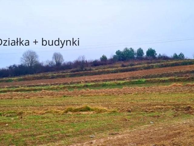 Grunt na sprzedaż w Wysokie, Lubelskie