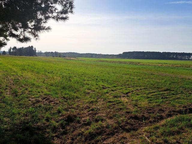 Grunt na sprzedaż w Środa Wielkopolska, Wielkopolskie