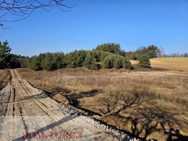 Grunt na sprzedaż w Czernikowo, Kujawsko-pomorskie