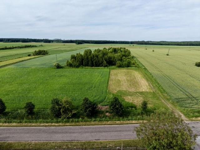 Grunt na sprzedaż w Syców, Dolnośląskie