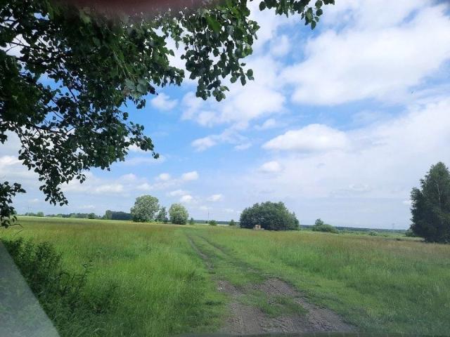 Grunt na sprzedaż w Kampinos, Mazowieckie