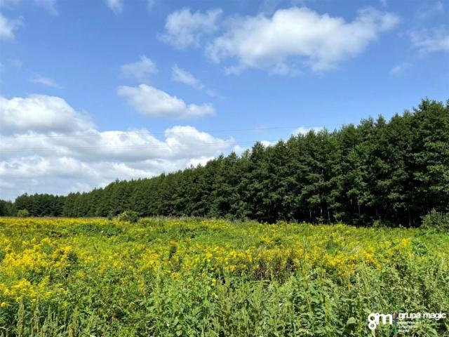 Grunt na sprzedaż w Kopanino, Kujawsko-pomorskie