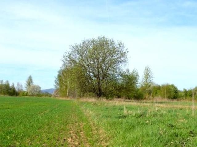 Grunt na sprzedaż w Krosno, Podkarpackie
