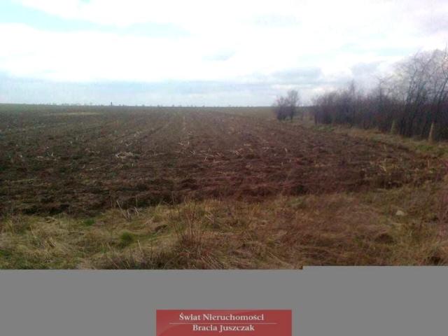 Grunt na sprzedaż w Osiek, Dolnośląskie