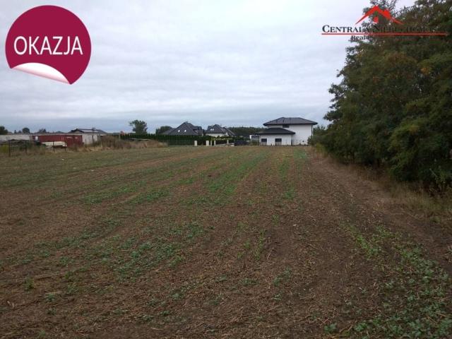 Grunt na sprzedaż w Pigża, Kujawsko-pomorskie