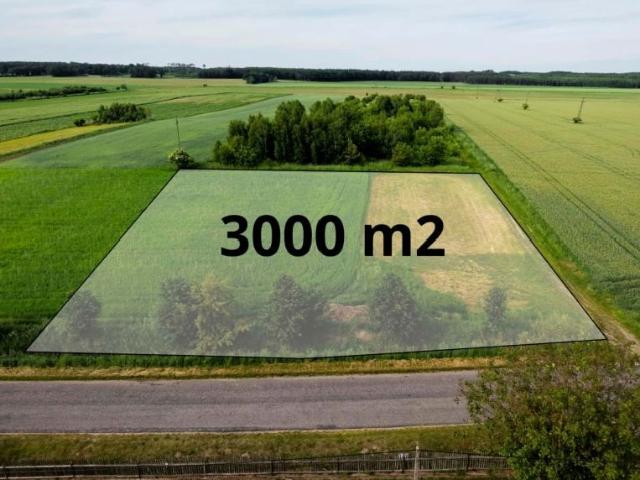Grunt na sprzedaż w Syców, Dolnośląskie