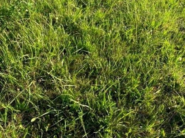 Grunt na sprzedaż w Władysławowo, Pomorskie
