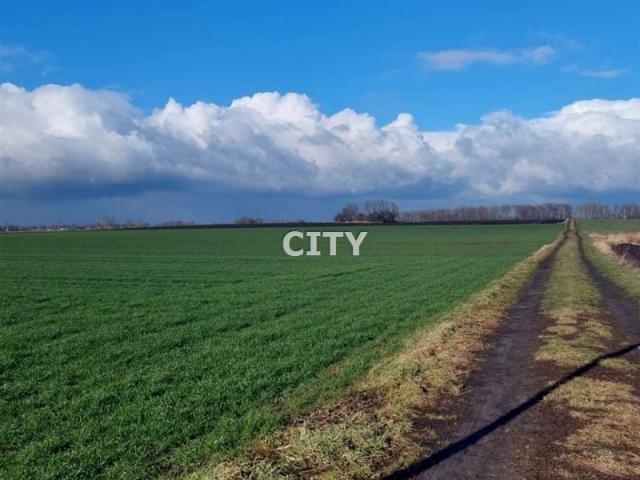 Grunt na sprzedaż w Żórawina, Dolnośląskie