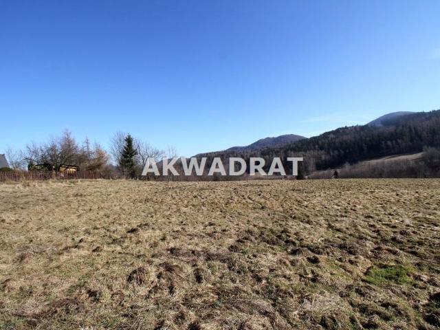 Grunt na sprzedaż w Wałbrzych, Dolnośląskie