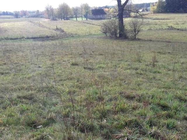 Grunt na sprzedaż w Pomorskie