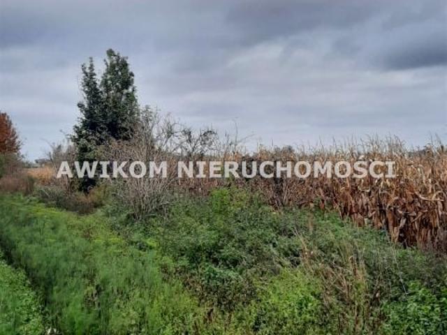 Grunt na sprzedaż w Zazdrość, Mazowieckie