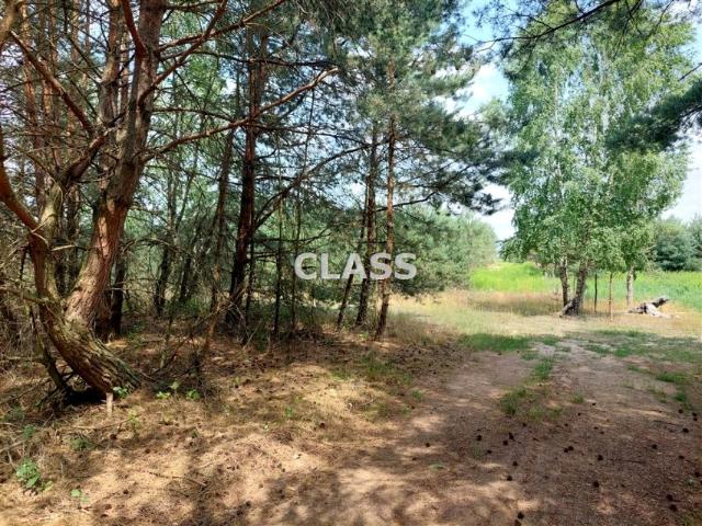 Grunt na sprzedaż w Gutowo, Kujawsko-pomorskie