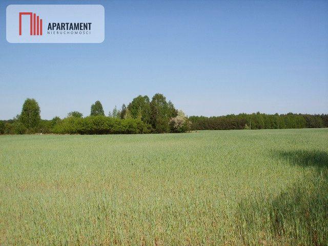Grunt na sprzedaż w Świekatowo, Kujawsko-pomorskie