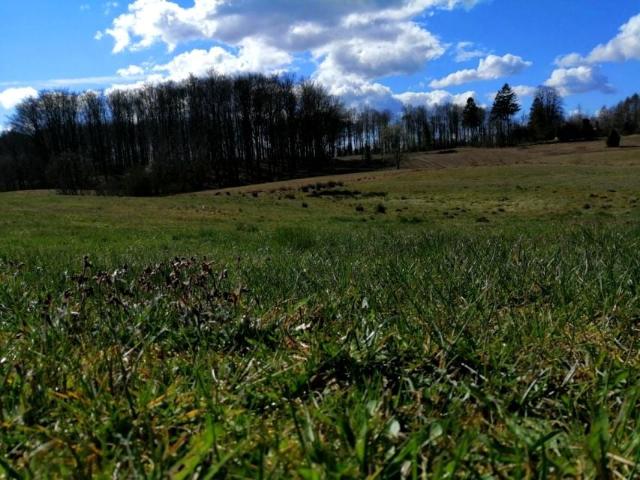 Grunt na sprzedaż w Trzepowo, Pomorskie