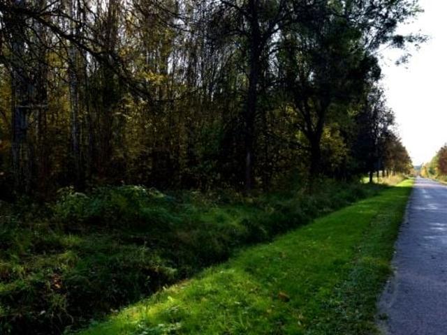 Grunt na sprzedaż w Zabłudów, powiat białostocki