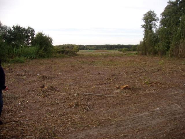 Grunt na sprzedaż w Klembów, Mazowieckie