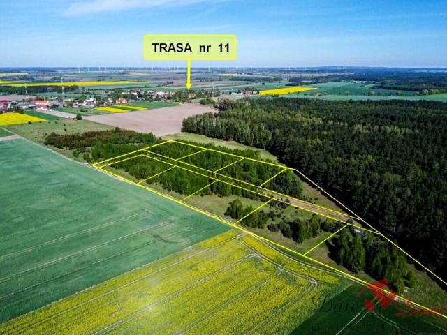 Grunt na sprzedaż w Tarnowo, Wielkopolskie