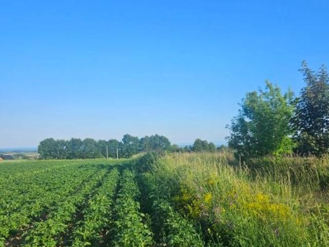 Grunt na sprzedaż w Kocmyrzów-luborzyca, Małopolskie