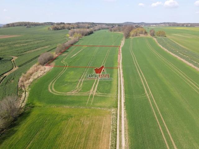 Grunt na sprzedaż w Pielgrzymka, Dolnośląskie