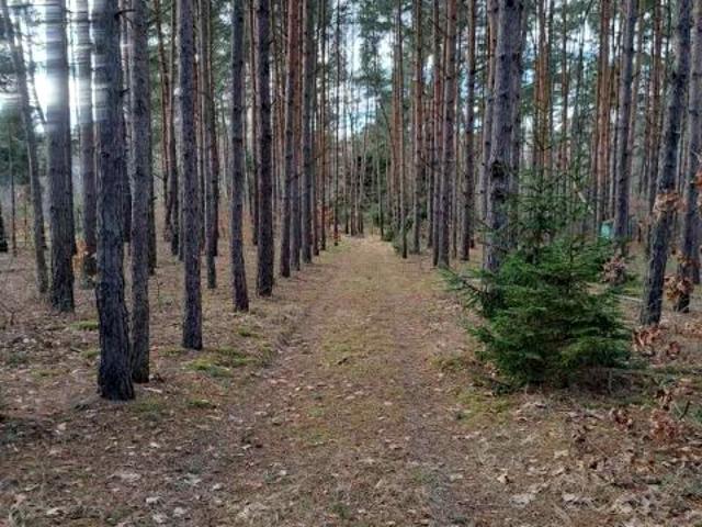 Grunt na sprzedaż w Krzyżówka, Mazowieckie