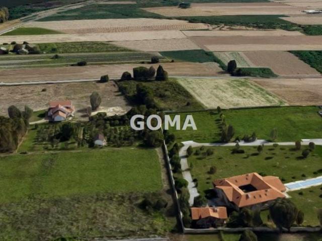 Grunt na sprzedaż w Kępa Okrzewska, Mazowieckie