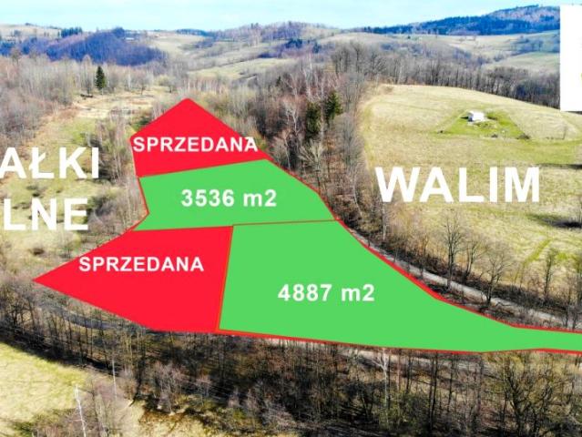 Grunt na sprzedaż w Walim, Dolnośląskie