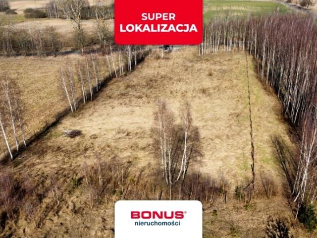 Grunt na sprzedaż w Liniewo, Pomorskie