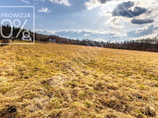 Grunt na sprzedaż w Budzów, Małopolskie