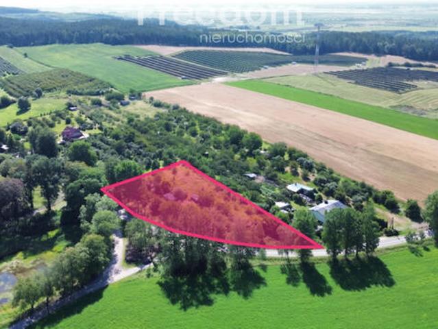Grunt na sprzedaż w Miasteczko Krajeńskie, Wielkopolskie
