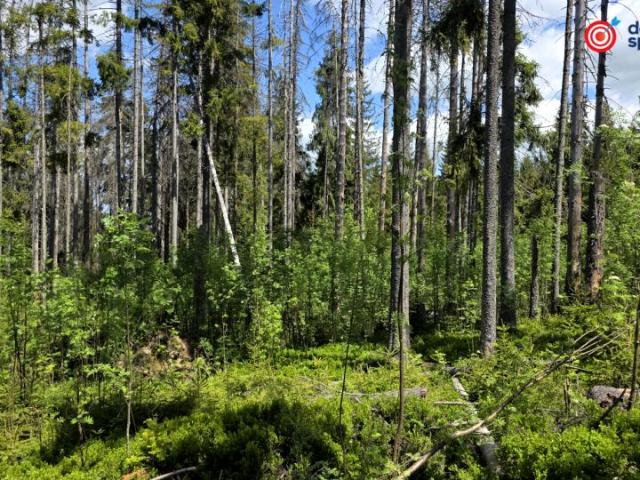 Grunt na sprzedaż w Zakopane, Małopolskie
