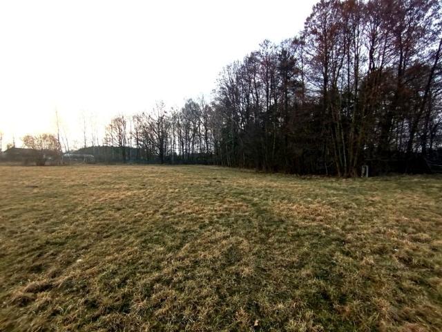 Grunt na sprzedaż w Grabowiec, Kujawsko-pomorskie